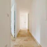 Rez-de-villa Avec Espace Arbore Privatif Sainte-Maxime